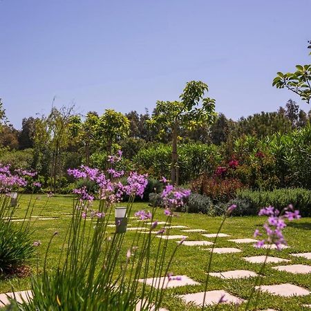 Mear Holiday Homes - Cretan Summer Getaways Kountoura Selino Bagian luar foto