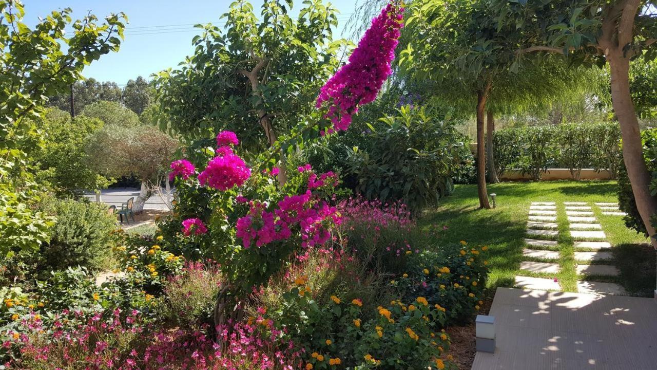 Mear Holiday Homes - Cretan Summer Getaways Kountoura Selino Bagian luar foto